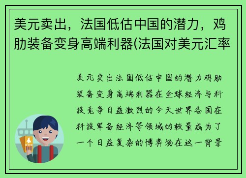 美元卖出，法国低估中国的潜力，鸡肋装备变身高端利器(法国对美元汇率)